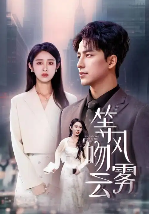 幕府将军 剧集海报